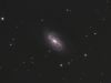 Filename=NGC2903_ori.jpg
Filesize=225KiB
Dimensions=800x600
Date added=Feb 10, 2008 NGC2903_ori.jpg